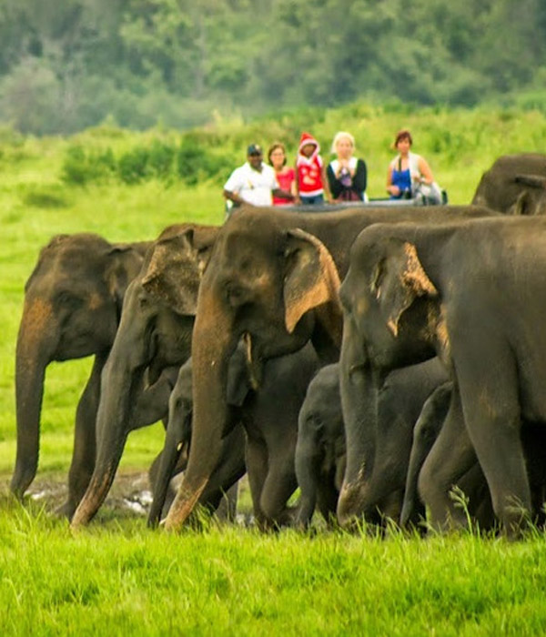 Trails Safari Sri Lanka